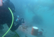 Underwater Octo-Condos Offer Beacon of Hope for Goleta Kelp Beds